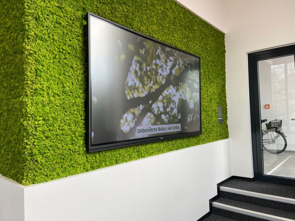 Großes Wanddisplay in der Mooswand neben einer Glastür, auf dem ein Naturfilm mit dem Schriftzug „Unberührte Natur, viel Grün“ läuft